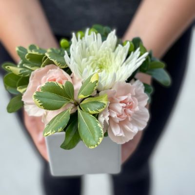 August Newsletter: Summer Sale, Loyalty Rewards, Always Fresh Flowers, & Wedding Registries!