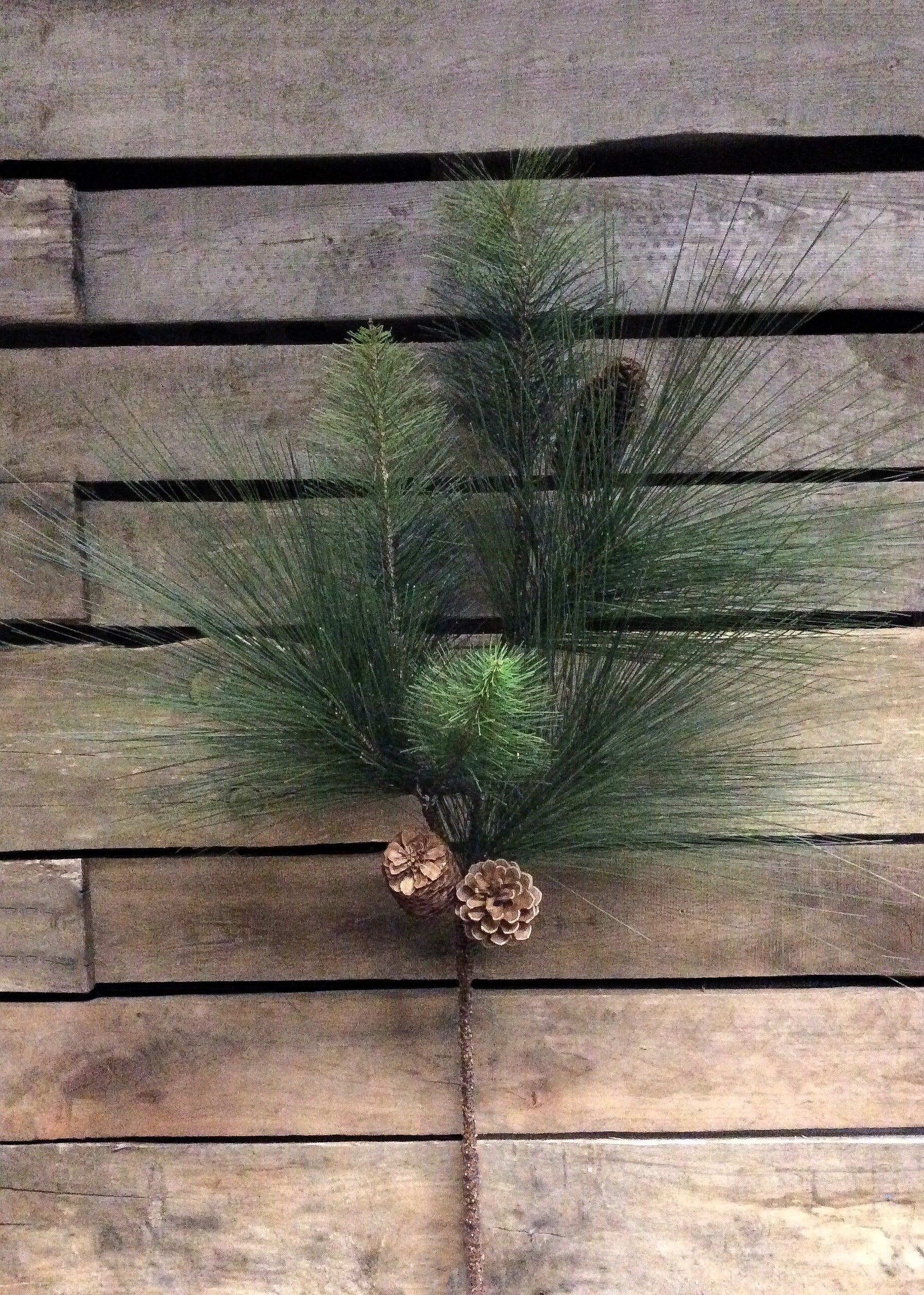 30" PINE SPRAY WITH PINE CONES