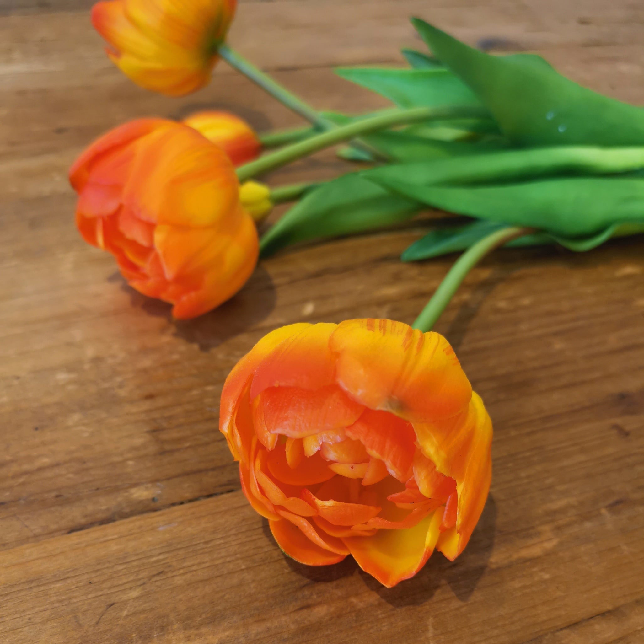 18" FRESH TOUCH PEONY ORANGE TULIP BUNDLE