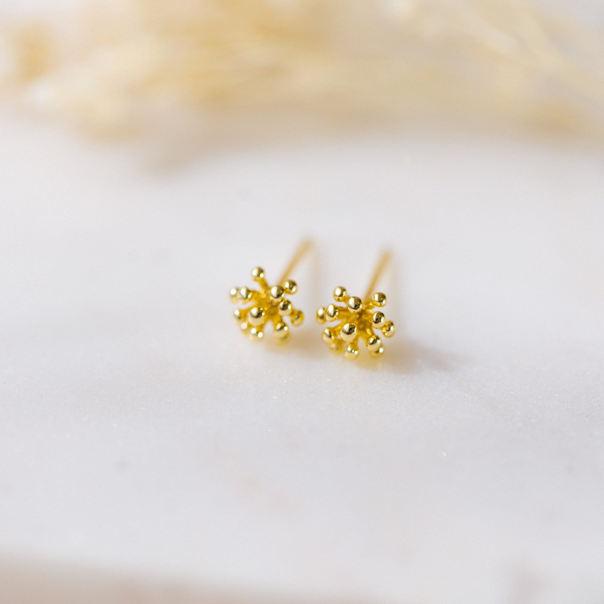 Living Coral Studs