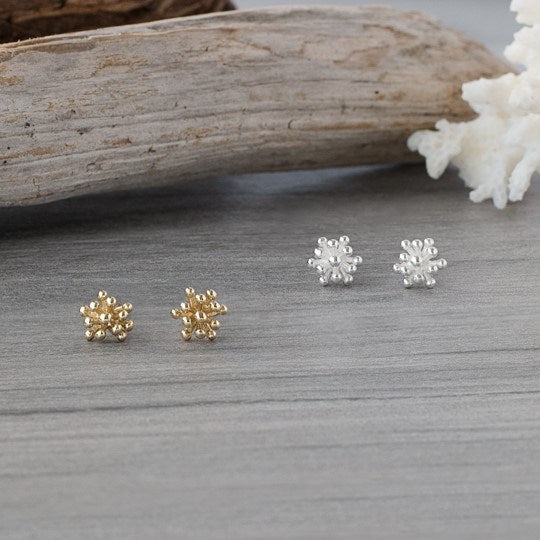 Living Coral Studs