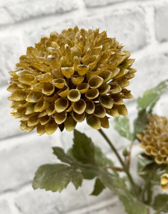 26" Brown Scabious Spray