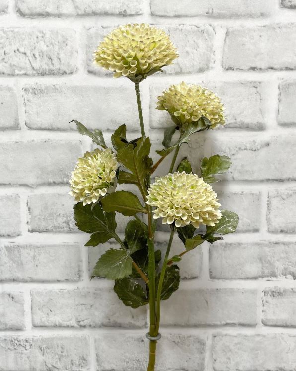26" Cream Scabious Spray