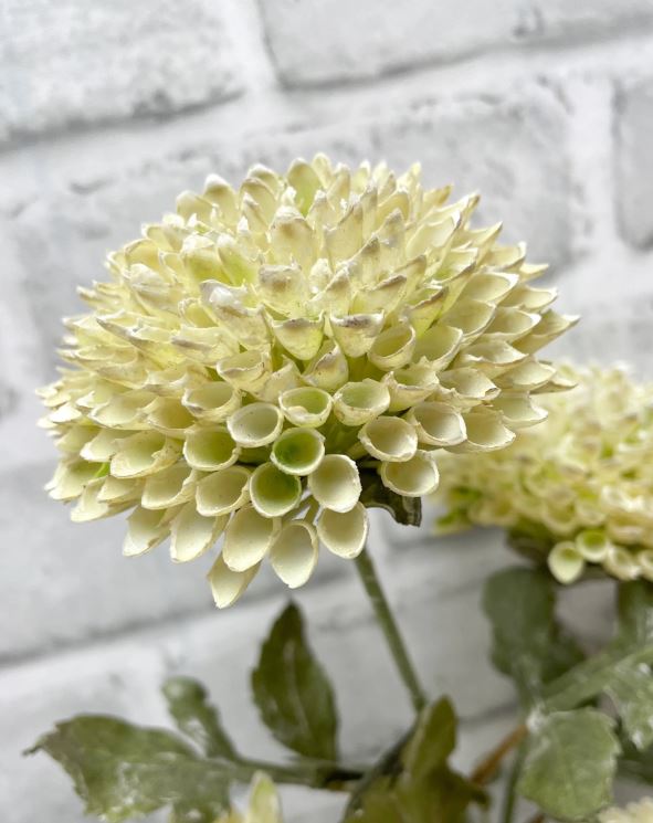 26" Cream Scabious Spray
