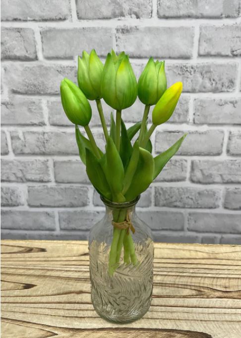 10" FRESH TOUCH MINI TULIP BUNDLE