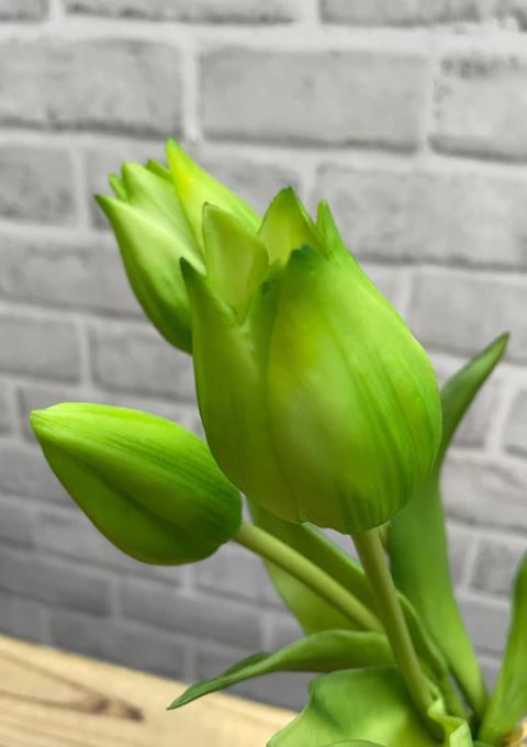 10" FRESH TOUCH MINI TULIP BUNDLE