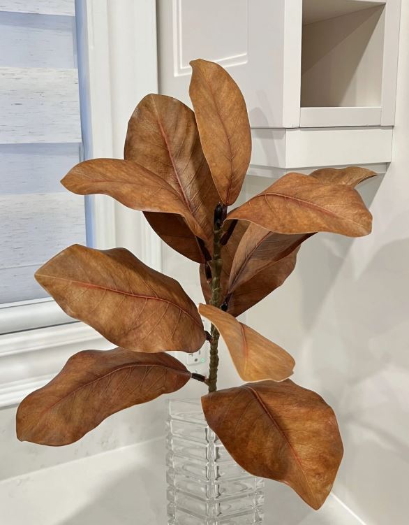 22" Brown Magnolia Spray