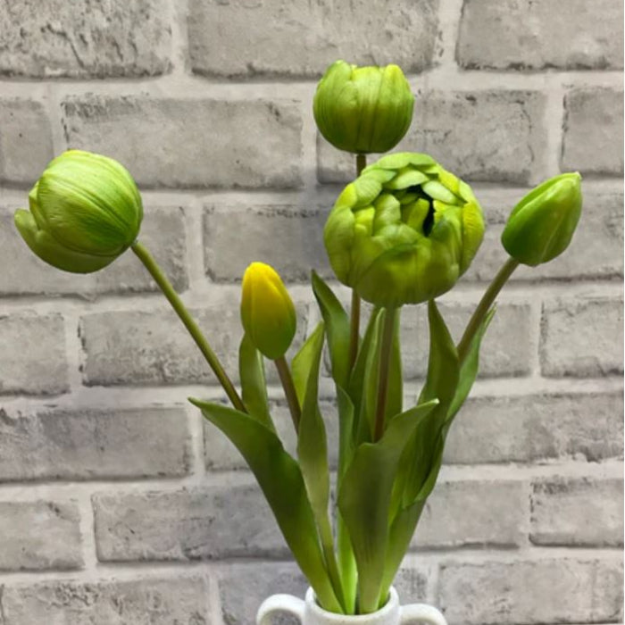 18 " FRESH TOUCH GREEN PEONY TULIP BUNDLE