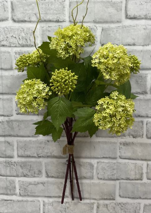 25 " GREEN SNOWBALL BUNDLE