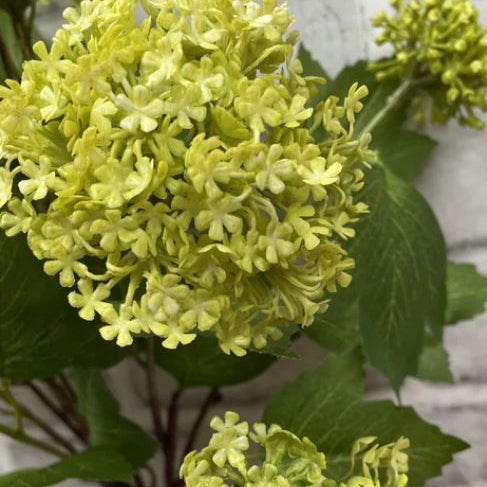 25 " GREEN SNOWBALL BUNDLE