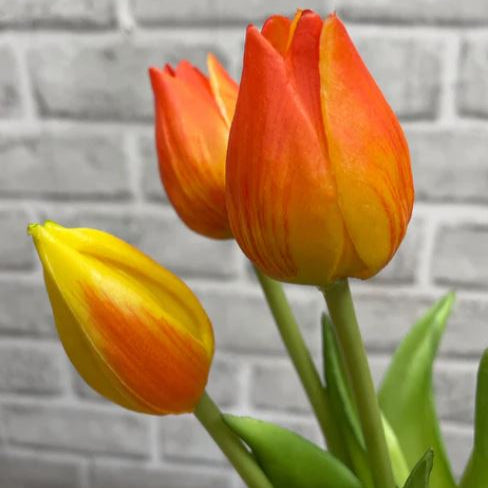 10" FRESH TOUCH MINI TULIP BUNDLE